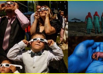 Las más bellas fotos de National Geographic este 2024