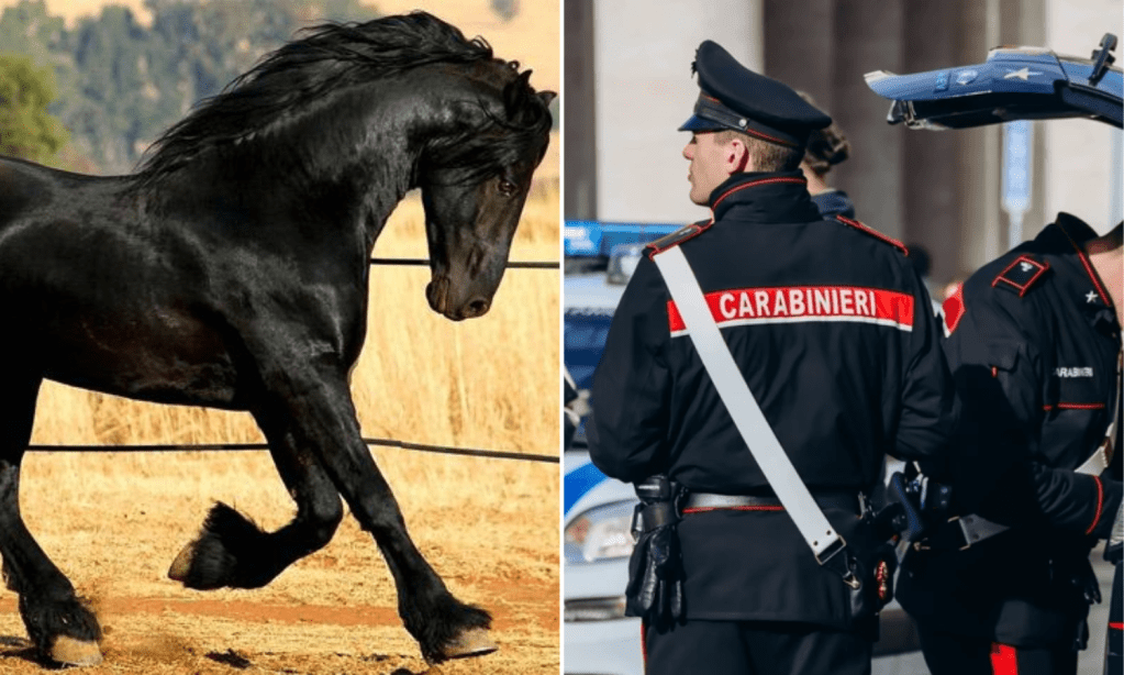 La mafia siciliana le mandó a un empresario italiano una cabeza de caballo para amenzarlo, al estilo de la película El Padrino, esto se sabe