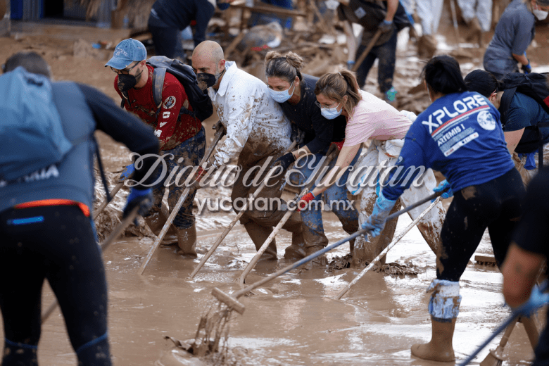 Solidaridad  Valencia