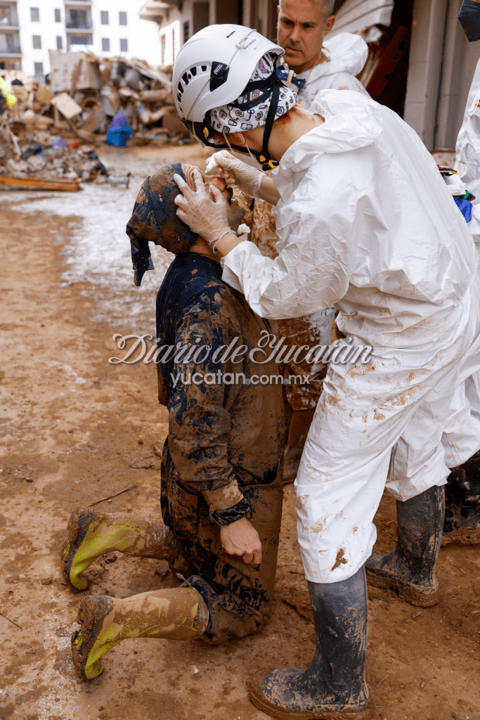 Solidaridad  Valencia