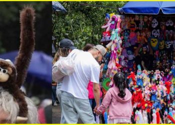 Nos lanzamos a la guardería de changuitos de Chapultepec y te contamos cómo funciona, precio, horario y más