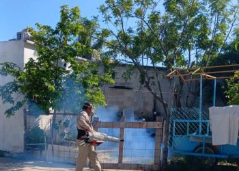 Quintana Roo se mantiene lejos de los primeros lugares de contagios de dengue gracias a intensas campañas de prevención
