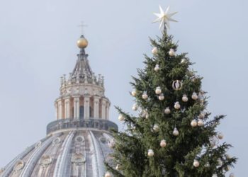 Recogen firmas para evitar talar el árbol de Navidad destinado a la Plaza de San Pedro