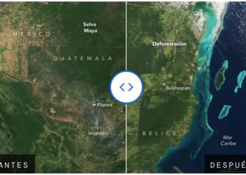 Selva maya en riesgo; fotos de la NASA revelan efectos de tala indiscriminada