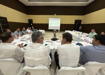 Transparencia y participación ciudadana en la gestión de proyectos estratégicos: AGEPRO