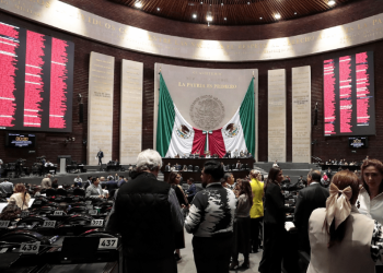 Una muestra de “novatez y soberbia” en Morena