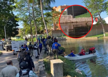 VÍDEO | Veinteañero es devorado por un cocodrilo en Tabasco, ¿cómo pasó?