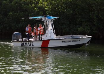 PROMUEVE ANA PATY PERALTA UN CANCÚN ECOLÓGICO