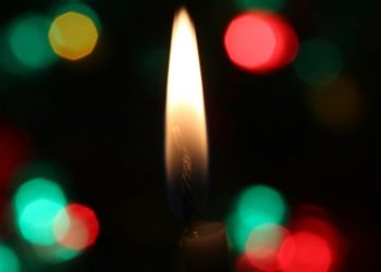 6 jardines en la CDMX para ir planeando tu posada