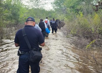 Localiza FGE de Quintana Roo restos óseos de aproximadamente cuatro años de antigüedad, en operativo de búsqueda en Lázaro Cárdenas