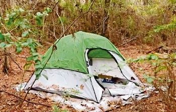 Abandona a una menor en el bosque para celebrar Navidad con su familia