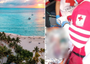 Abandonan a recién nacido en parque de Cancún: niño que jugaba hizo el hallazgo, así fue