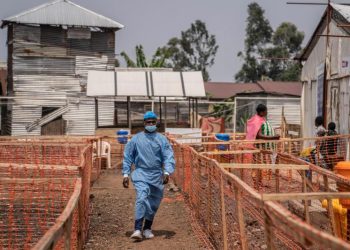 África registra más de 60 mil casos y mil 200 muertes de viruela del mono