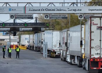 Agentes de las aduanas aseguran que están limpios