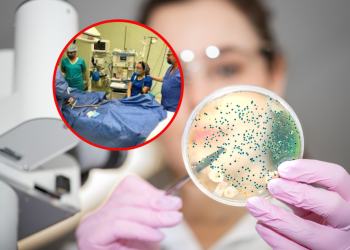 Alerta por bacteria Klebsiella oxytoca en México: qué es, por qué es peligrosa, cuántos casos hay