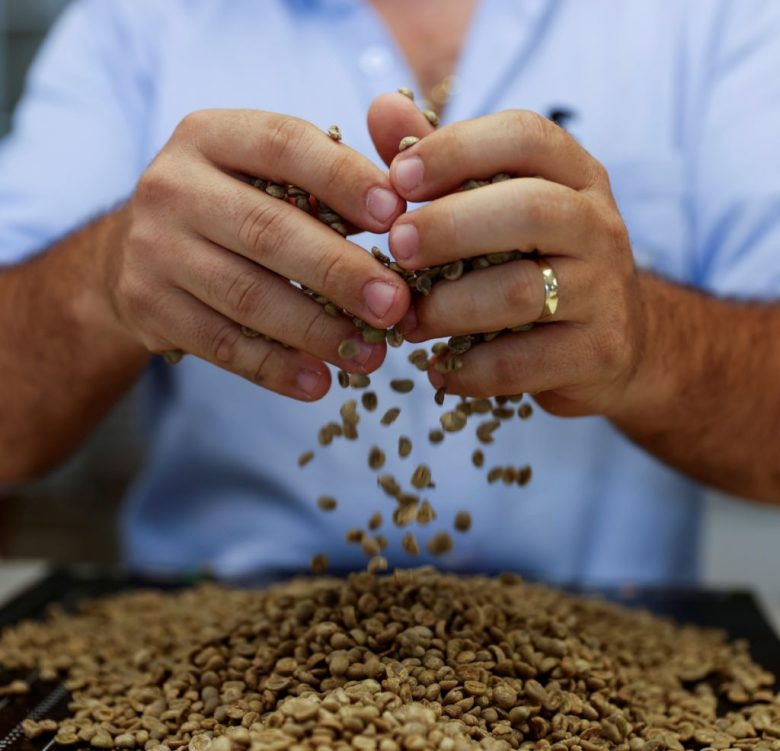 Un productor selecciona granos de café en la Cooperativa de Cafeteros de la región de Cerrado Mineiro, en el estado de Minas Gerais, en Brasil. A la derecha, mujer recolectora