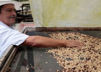 Cafetaleros en crisis: por qué subió el precio del café