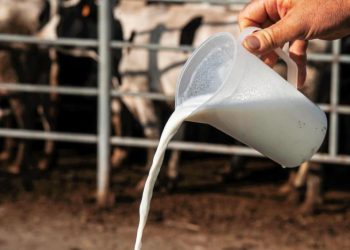 California suspende la distribución de leche cruda de su mayor productor por gripe aviar