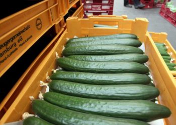 CDC extiende vigilancia por brote de salmonela vinculado a pepinos en 19 estados