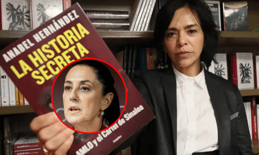 claudia-sheinbaum-es-parte-del-sistema-criminal-recibio-dinero-anabel-hernandez