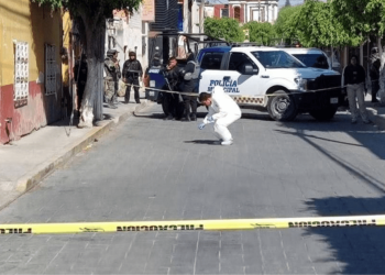 En México matan a 7 mujeres al día: 762 feminicidios en 2024