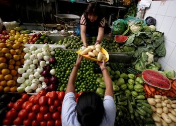 Estudio detecta metal tóxico en verduras de Ciudad de México