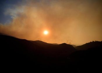 Incendios forestales en América: Un año de devastación ambiental y humanitaria