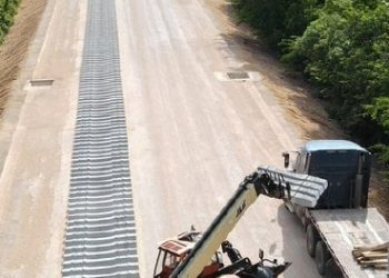 Instalarían cámaras para monitorear la fauna del Tren Maya