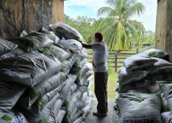 Invierte el gobierno humanista de la gobernadora Mara Lezama más de 6.6 mdp para el sector pesquero: SEDARPE