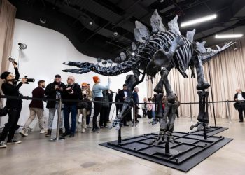 Llega al Museo de Historia Natural de NY el fósil de dinosaurio más caro