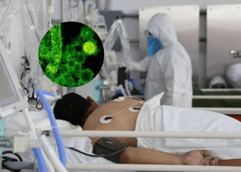 Mueren 13 niños por posible contagio de Klebsiella oxytoca en Edomex