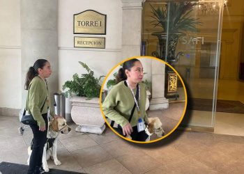 Niegan acceso a mujer con discapacidad visual y su perro guía en Monterrey