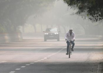 OMS alerta que la emergencia climática es “fundamentalmente una crisis de salud”