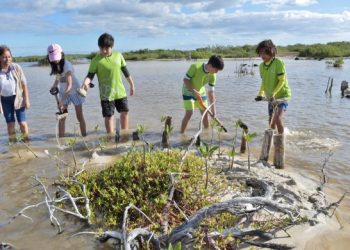 Parque Ecoturístico Punta Sur recibió a más de 3 mil 400 alumnos que participaron en programas educativos y de conservación