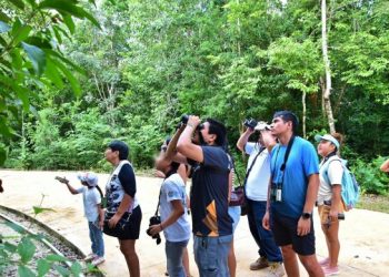 Promueven La FPMC y Pajareando Cozumel la conservación de avifauna con el evento “Descubriendo las Alas de Cozumel, Aves y Fauna de la Isla”