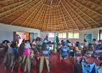 Recibe FPMC reconocimiento por su participación en el Programa de Protección a la Tortuga Marina 2024