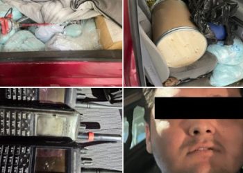 Reportan histórico decomiso en Sinaloa