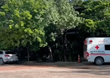 Tragedia en Tulum: persona muere tras caer de un cuarto piso
