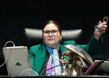 Violencia e inseguridad en México: Senadora pide tregua decembrina