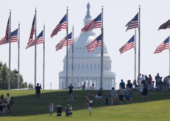 Washington DC, capital del poder y de las ratas
