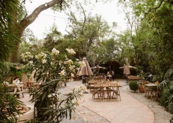 5 cafés bohemios de Coyoacán