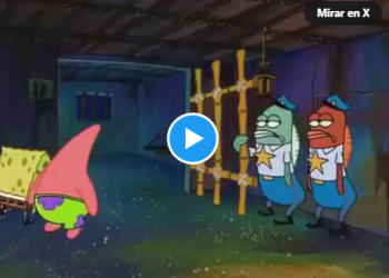 Quedamos: La «prohibición» de TikTok que duró solo 19 horas: ¿Una broma de mal gusto?