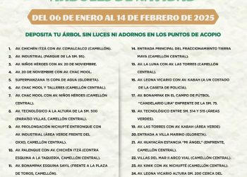 LANZA GOBIERNO DE BJ “CAMPAÑA DE ACOPIO DE ÁRBOLES DE NAVIDAD”