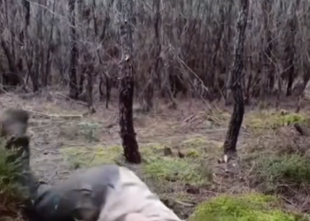 VIDEO:»¡Risas y sustos! El viral video de ‘Hay viene la migra’ en los Estados Unidos»