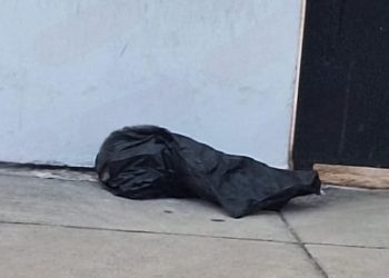 Extraño hallazgo en Dirección de Tránsito de Cancún: Ritual de brujería sorprende a los empleados