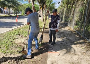 CHETUMAL, 29 de enero. El punto de la avenida Erick Paolo Martínez entre Colibrí y la Aarón Merino de la capital del Estado, será Transformado en un sendero seguro para bienestar de la ciudadanía.