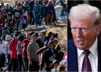 Advierten redada masiva de inmigrantes apenas asuma Trump como presidente