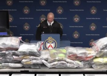 Aseguran en Canadá 835 kilos de cocaína ligada al CJNG