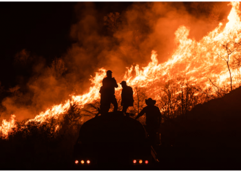 Aumentaron los incendios forestales en México durante 2024