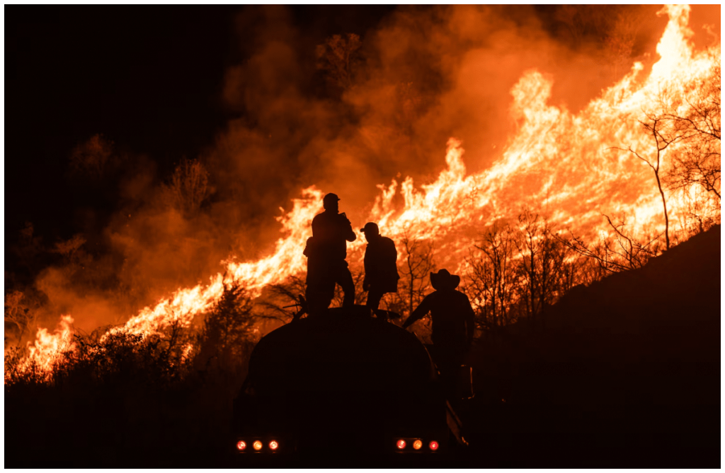 Durante 2024, los incendios forestales en el país aumentaron 5% respecto a 2023; el año que mantiene la marca de más incendios es 1998